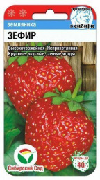 Земляника Зефир 10шт. цветной пакет Сибирский сад