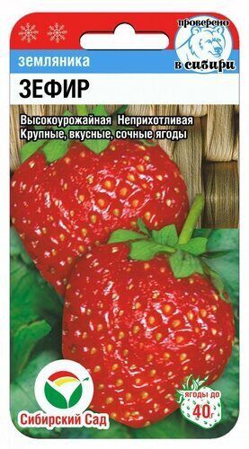 Земляника Зефир 10шт. цветной пакет Сибирский сад