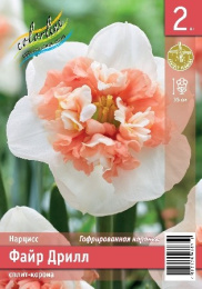 Нарцисс Файр Дрилл 2шт. Эконом Colorline