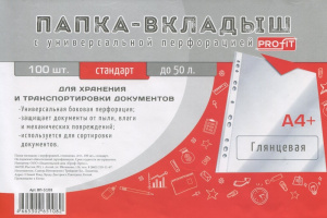 Папка-вкладыш А4  23мкм глянцевая ВП-5108