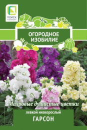 Левкой Гарсон низкорослый 0,3г цветной пакет серия Огородное изобилие Поиск