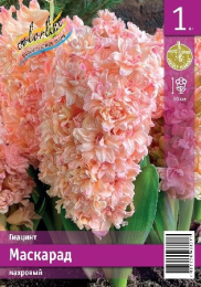 Гиацинт Маскарад 1шт. Эконом Colorline