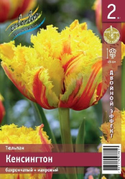 Тюльпан Кенсингтон 2шт. Эконом Colorline