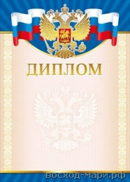 Диплом 7200167