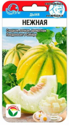 Дыня Нежная 7шт. цветной пакет Сибирский сад