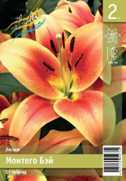 Лилия Монтего Бэй 12/14 2шт. Эконом (OT) Colorline