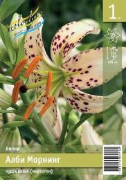Лилия Алби Морнинг 10/12 1шт. Эконом (SP) Colorline