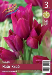 Тюльпан Найт Клаб  3шт. Эконом Colorline