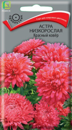 Астра Красный ковер низкорослая 0,2г цветной пакет Поиск