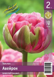 Тюльпан Авейрон  3шт. Эконом Colorline