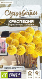Краспедия Барабанные палочки шаровидная 0,05г цветной пакет Сухоцветы Семена Алтая