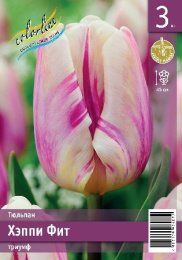 Тюльпан Хэппи Фит 3шт. Эконом Colorline