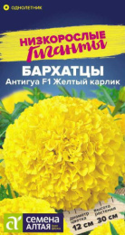 Бархатцы прямостоячие (Тагетес) Антигуа Желтый карлик F1 5шт. цветной пакет Низкорослые гиганты Семена Алтая