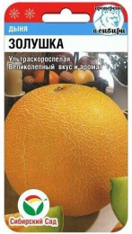 Дыня Золушка  7шт. цветной пакет Сибирский сад