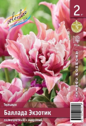 Тюльпан Баллада Экзотик 2шт. Эконом Colorline
