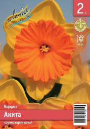 Нарцисс Акита 2шт. Эконом Colorline