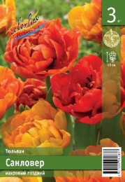 Тюльпан Санловер  3шт. Эконом Colorline