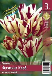 Тюльпан Флэминг Клаб  3шт. Эконом Colorline