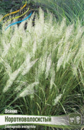 Вейник Коротковолосистый 2шт. Colorline