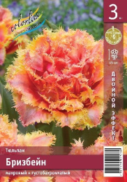 Тюльпан Бризбейн  3шт. Эконом Colorline