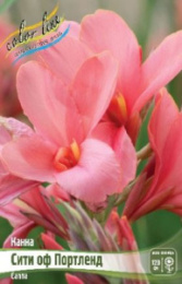 Канна Сити оф Портленд зеленый лист 1шт. Colorline