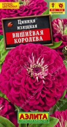 Цинния Вишневая королева 0,3г цветной пакет Аэлита 569483