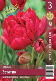 Тюльпан Эстатик  3шт. Эконом Colorline