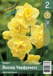 Нарцисс Йеллоу Чирфулнесс  2шт. Эконом Colorline