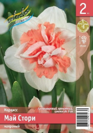 Нарцисс Май Стори 2шт. Эконом Colorline