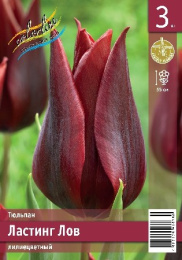 Тюльпан Ластинг Лов  3шт. Эконом Colorline