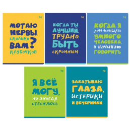 Тетрадь  96 листов BG Status Т5СК96_ВЛ 59373