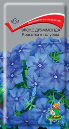Флокс Красотка в голубом, друммонда 0,1г цветной пакет Поиск