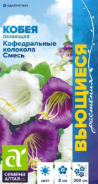 Кобея Кафедральные колокола смесь лазающая 5шт. цветной пакет Вьющиеся растения Семена Алтая