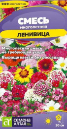 Смесь Ленивица многолетняя низкая 0,3г цветной пакет Семена Алтая