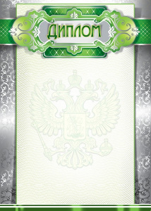 Диплом 24982