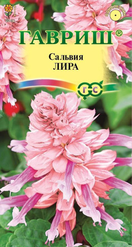 Сальвия Лира 4шт. цветной пакет Гавриш