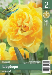 Нарцисс Шерборн 2шт. Эконом Colorline