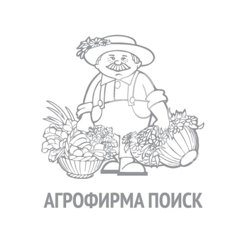 Свекла Хавская 3г белый пакет Поиск