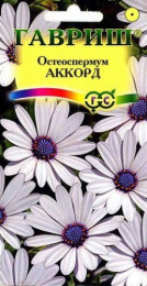Остеоспермум Аккорд белый 0,1г цветной пакет Гавриш