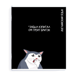 Тетрадь  48 листов П Английский язык Коты мемы 69828