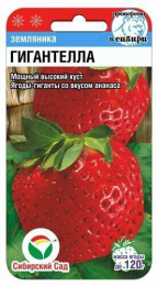 Клубника Гигантелла 10шт. цветной пакет Сибирский сад