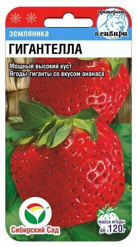 Клубника Гигантелла 10шт. цветной пакет Сибирский сад