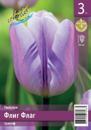 Тюльпан Флиг Флаг  3шт. Эконом Colorline