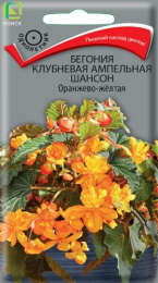 Бегония Шансон оранжево-желтая ампельная клубневая 10шт. цветной пакет Поиск