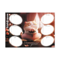 Расписание уроков А4 ErichKrause Prima Cat 65307