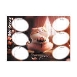 Расписание уроков А4 ErichKrause Prima Cat 65307
