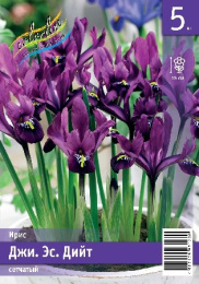 Ирис сетчатый Джи.Эс.Дийт  5шт. Эконом Colorline