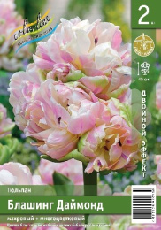 Тюльпан Блашинг Даймонд 2шт. Эконом Colorline