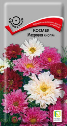 Космея Махровая кнопка 0,1г цветной пакет Поиск