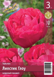Тюльпан Липстик Глоу  3шт. Эконом Colorline
